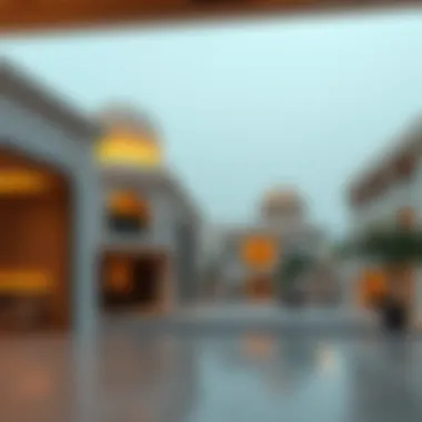 Magnificent Dubai Hamriya: An In-Depth Exploration of a Unique Neighborhood Magnificent Dubai Hamriya: An In-Depth Exploration of a Unique Neighborhood