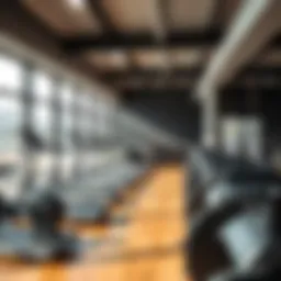 Exploring the Fitness Landscape in the Motor City: A Comprehensive Guide to Gyms Introduction