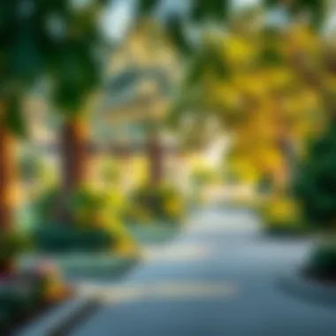 Community Park Serenity A serene community park in the heart of Dubai.