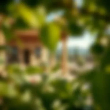 Notable Tuscan Residence JVC: A In-Depth Examination Notable Tuscan Residence JVC: A In-Depth Examination